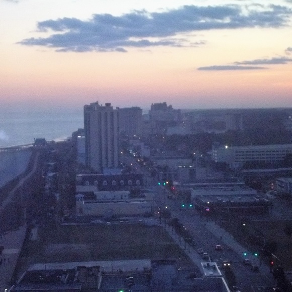 Meet your Posher, Charlie - Picture 1 of 1